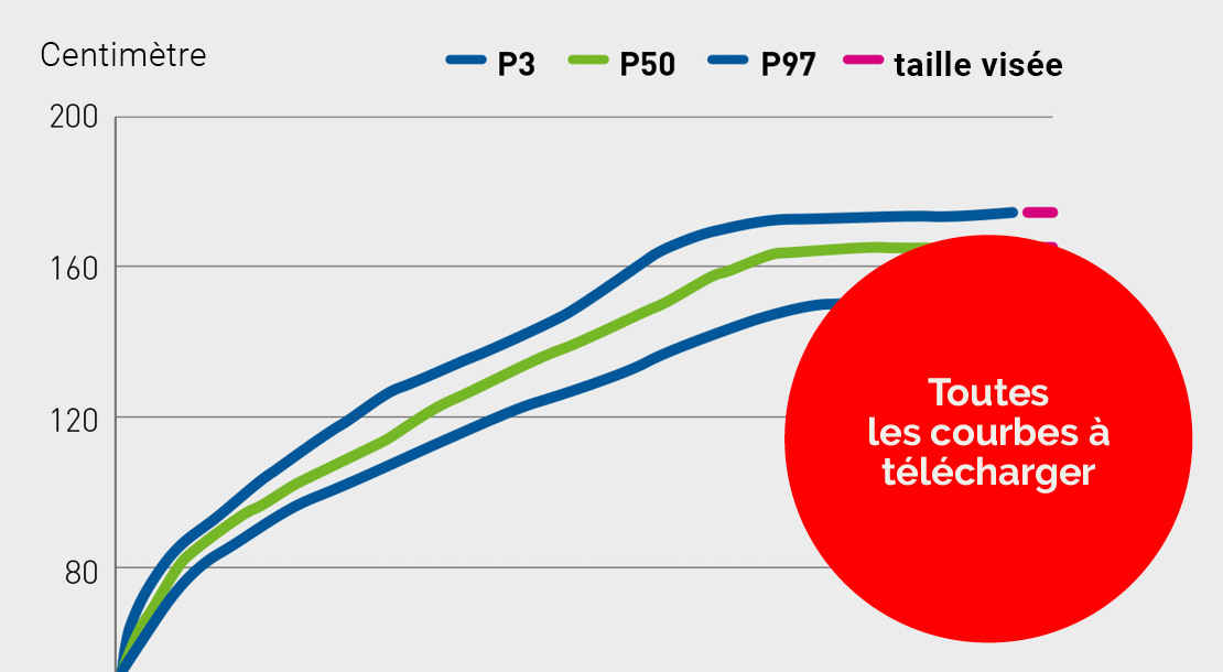 Tableau de croissance de la taille des enfants